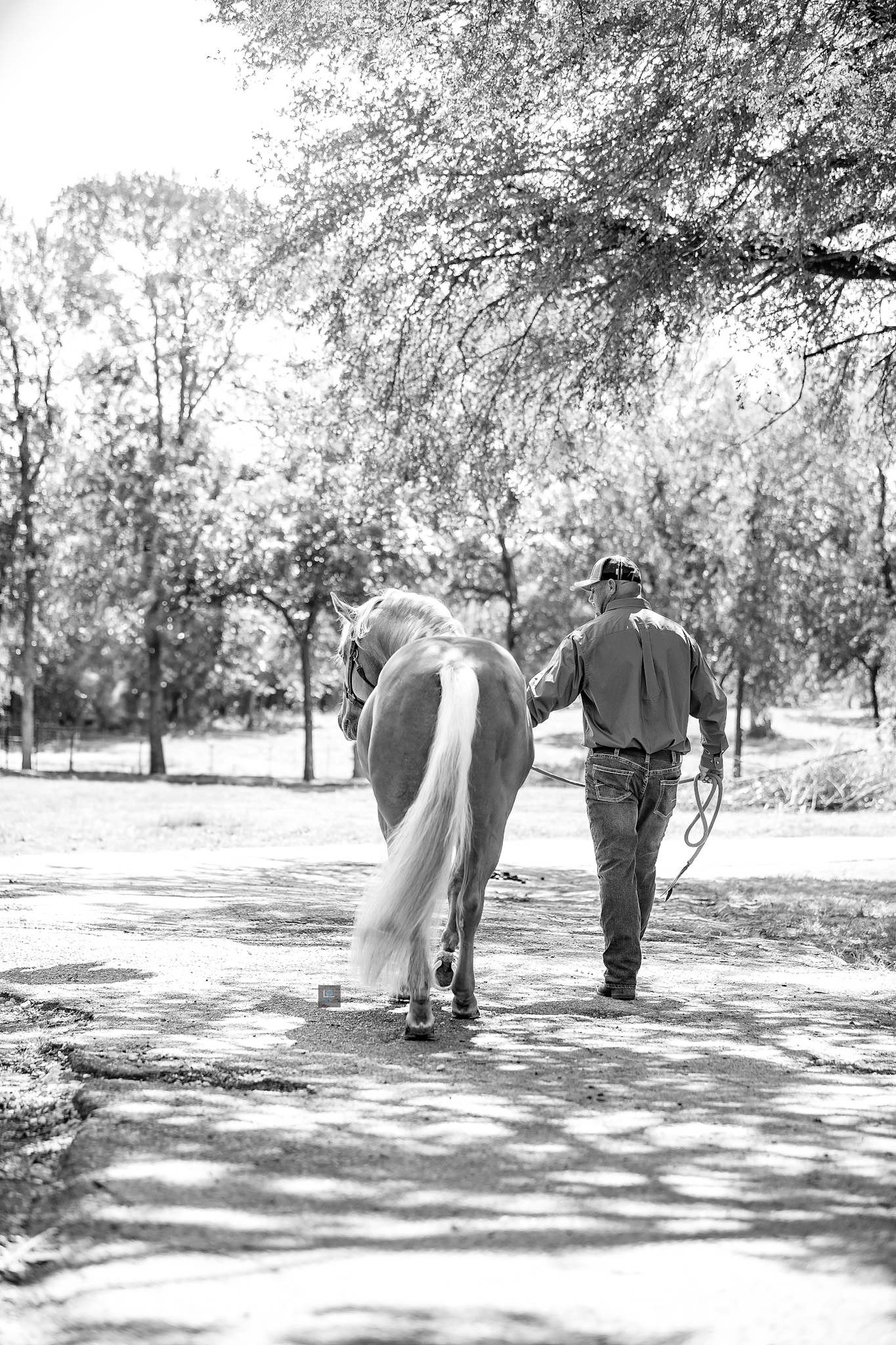 jeanne tom twister 11