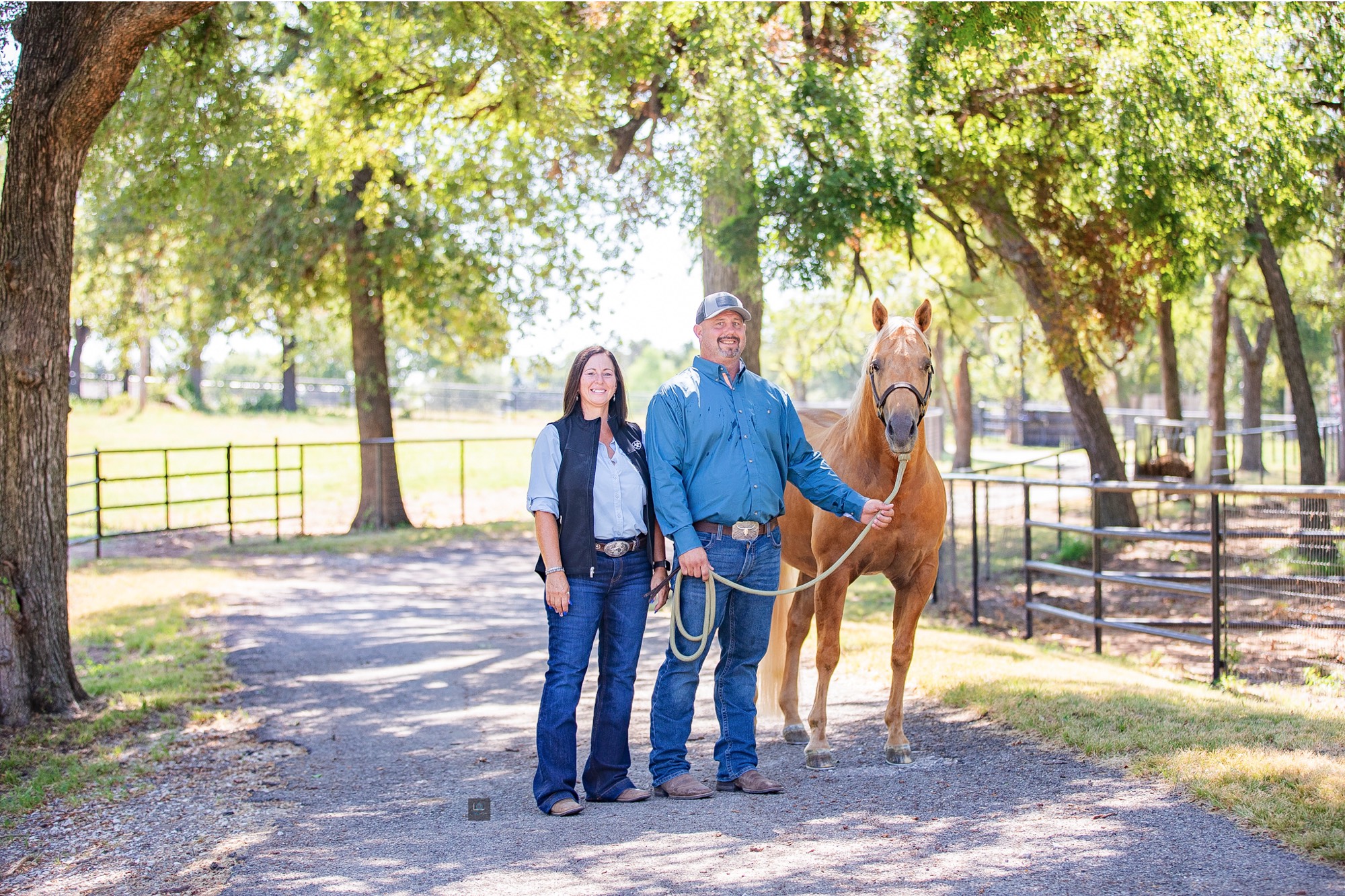 jeanne tom twister 2