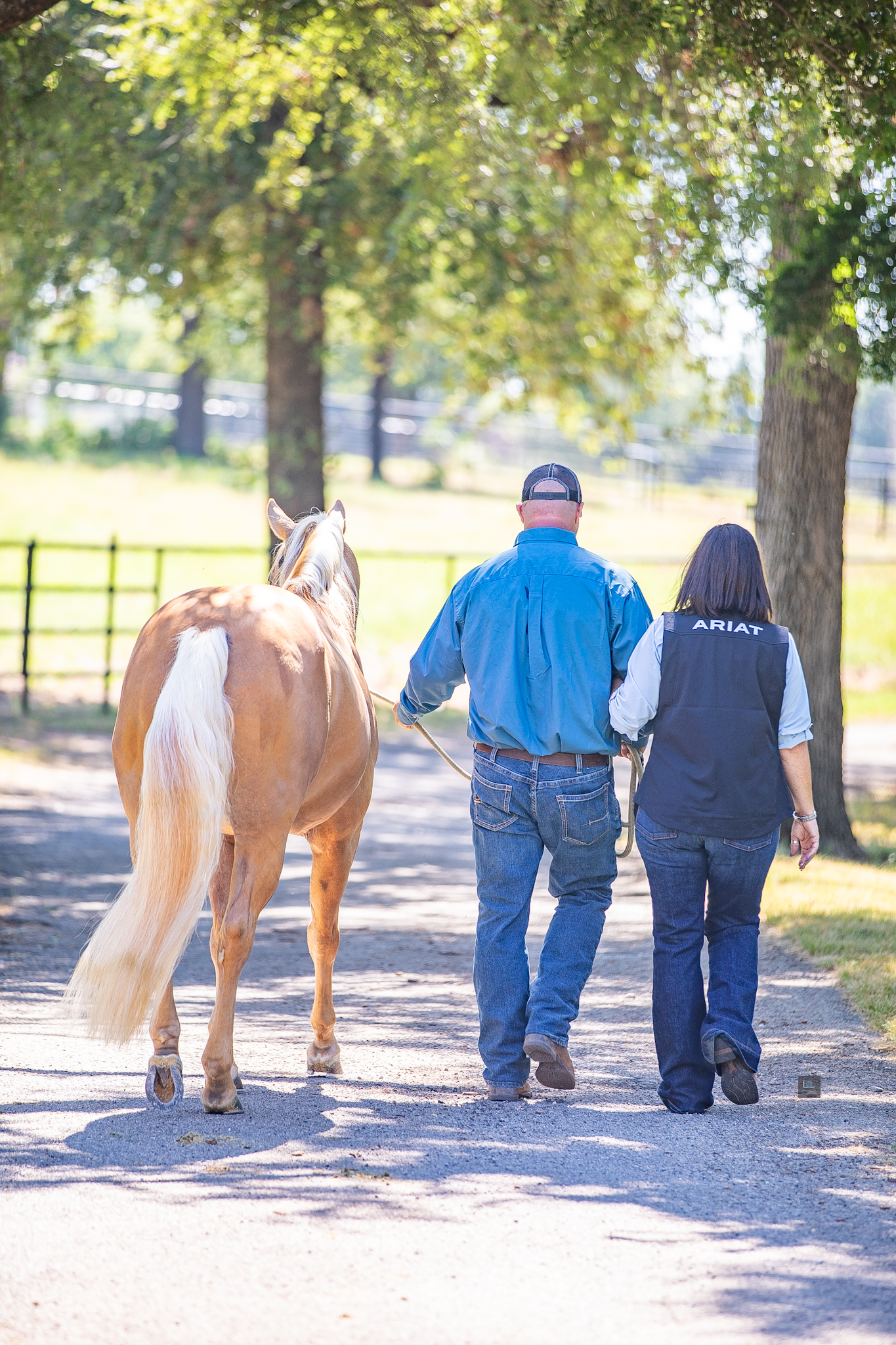 jeanne tom twister 5