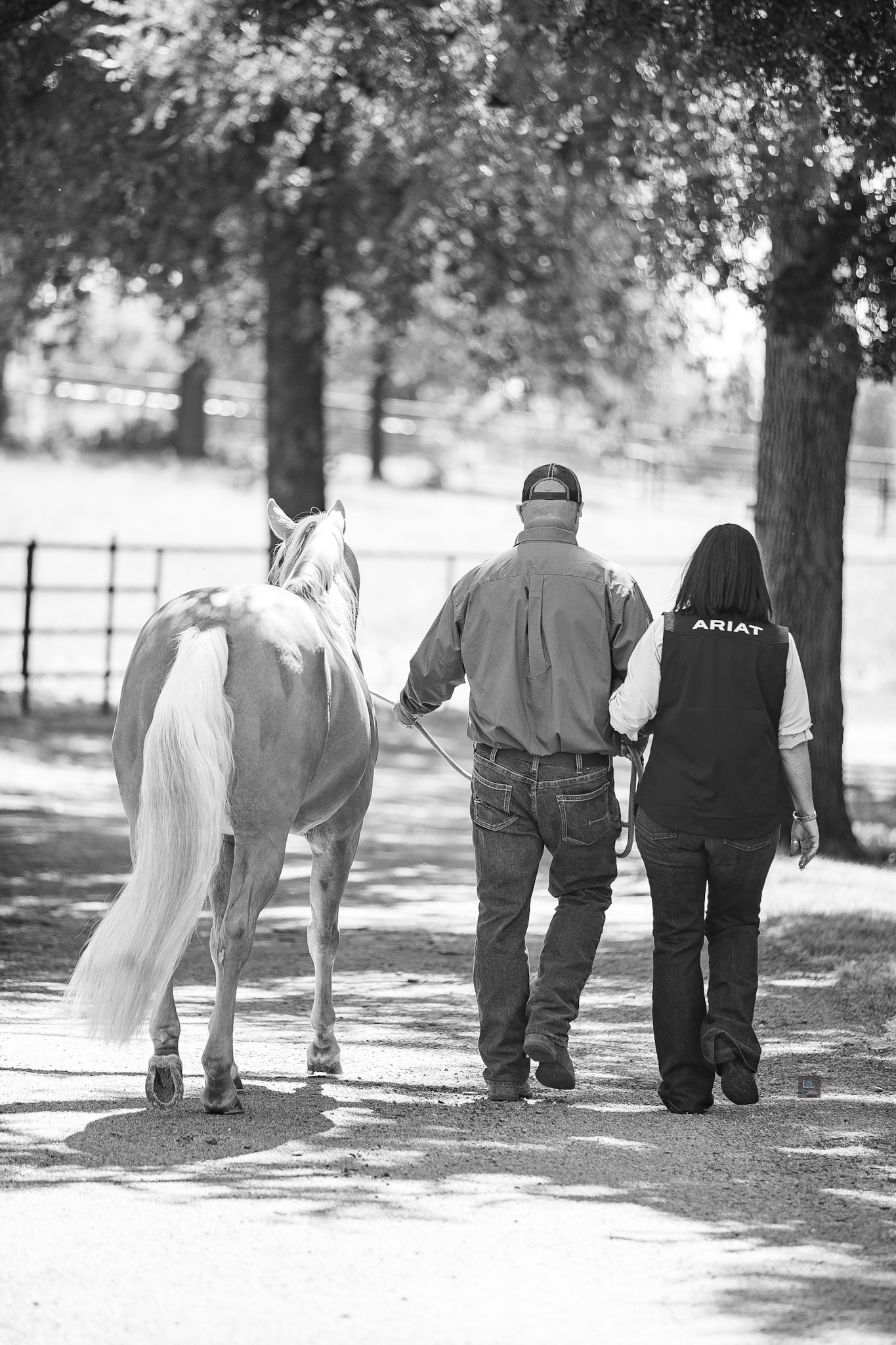 jeanne tom twister 6