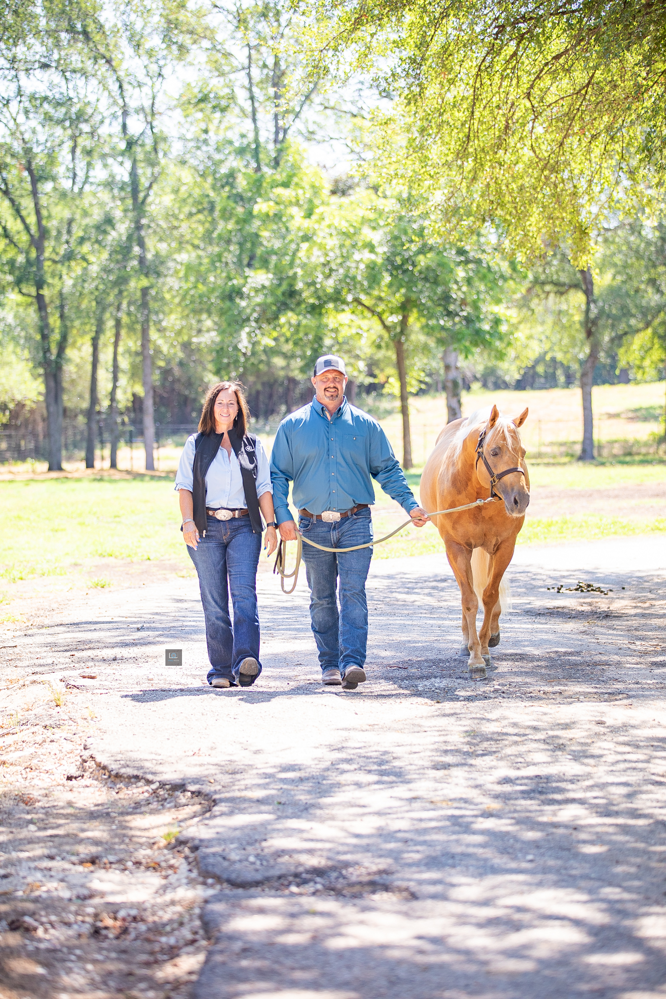 jeanne tom twister 7