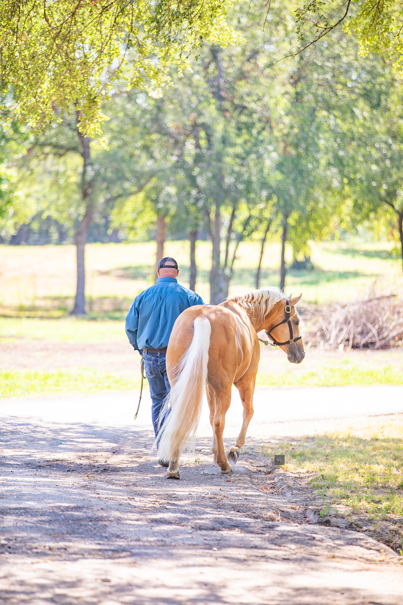 jeanne tom twister 9